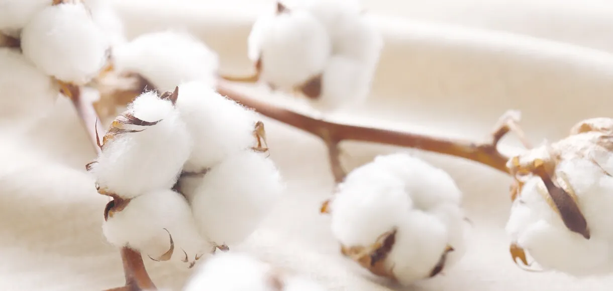 シルク以外の生地の販売